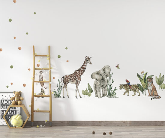 Safari